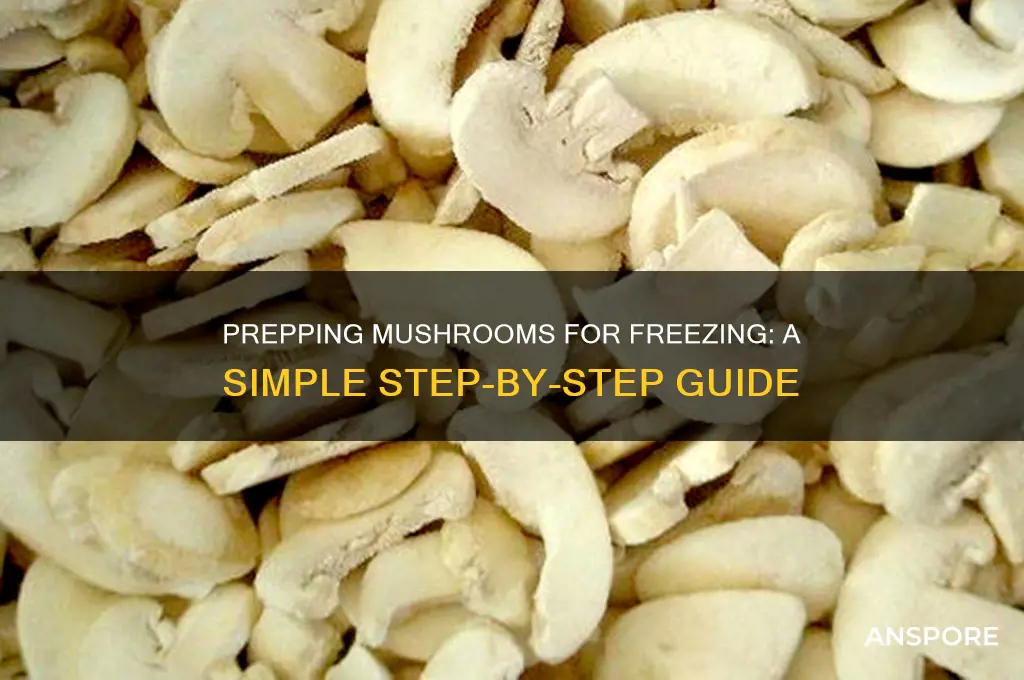 how to prep mushrooms for freezing
