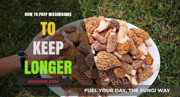 Extend Mushroom Freshness: Simple Prep Tips for Longer Storage
