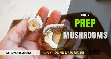 Prepping Mushrooms: A Step-by-Step Guide