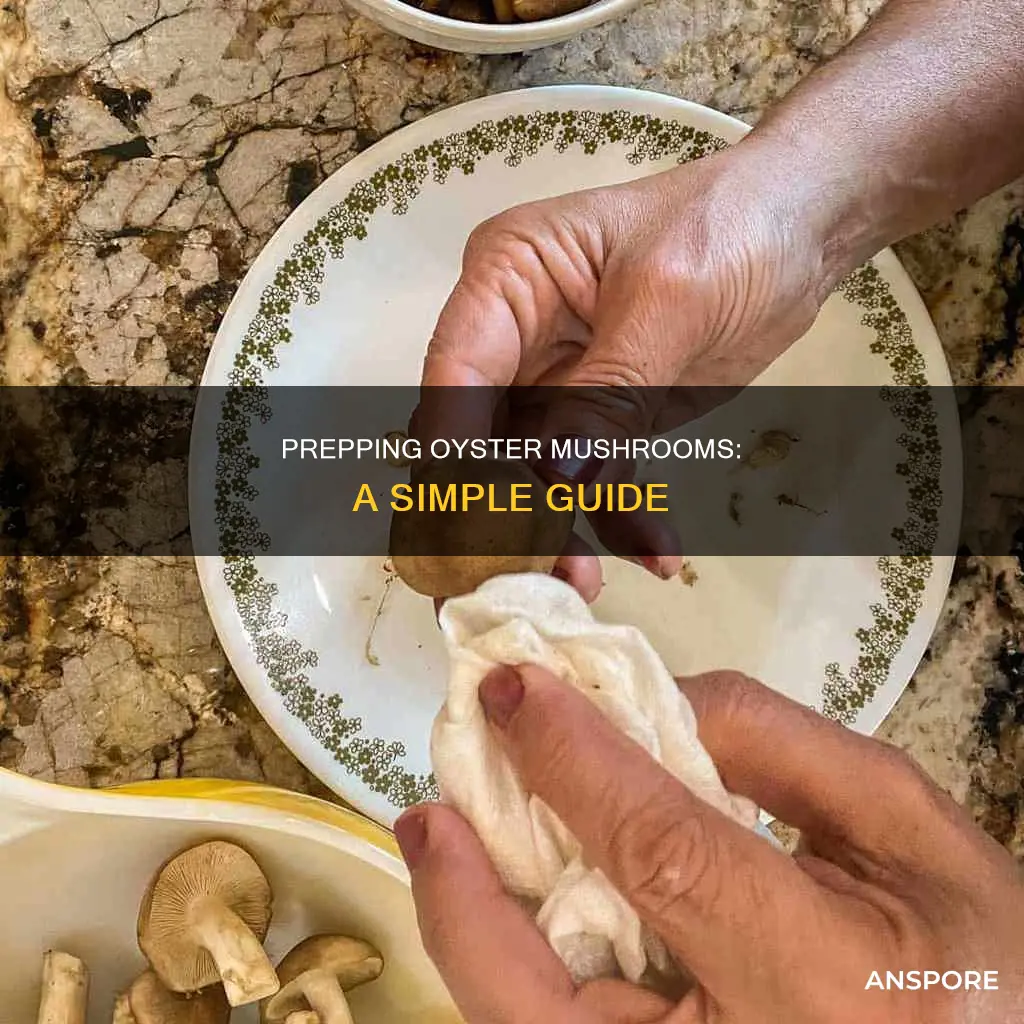 how to prep oyster mushrooms