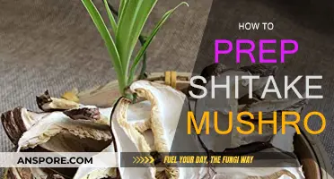 Preparing Shiitake Mushrooms: A Step-by-Step Guide