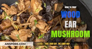 Mastering Wood Ear Mushrooms: Simple Prep Techniques for Perfect Texture