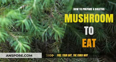 Mastering Boletus Mushrooms: A Step-by-Step Guide to Preparation and Cooking