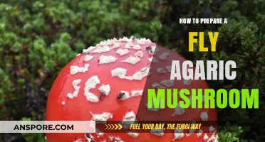 Mastering Fly Agaric Preparation: A Safe and Detailed Guide