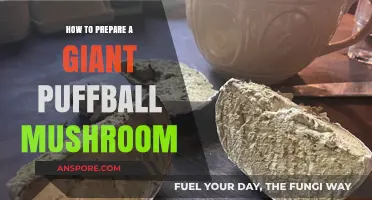 Mastering the Art of Cooking Giant Puffball Mushrooms: A Step-by-Step Guide