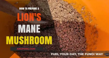Mastering Lion's Mane: A Step-by-Step Mushroom Preparation Guide