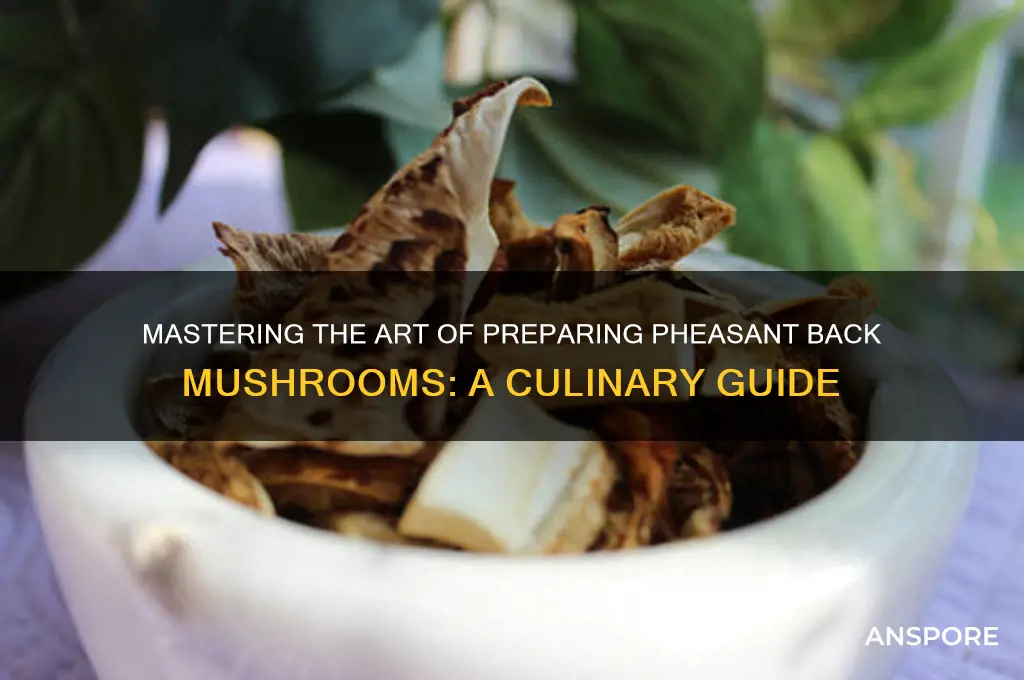 how to prepare a pheasant back mushroom