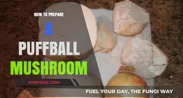 Mastering Puffball Mushrooms: A Step-by-Step Preparation Guide for Beginners