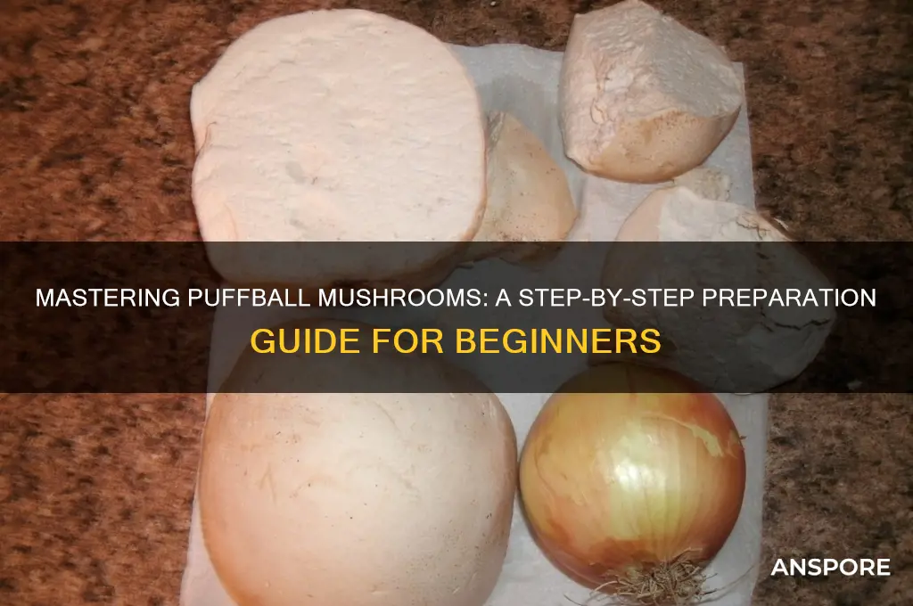 how to prepare a puffball mushroom