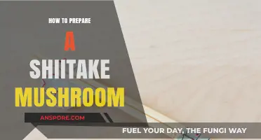 Mastering Shiitake: Simple Steps to Prepare Perfect Mushrooms Every Time