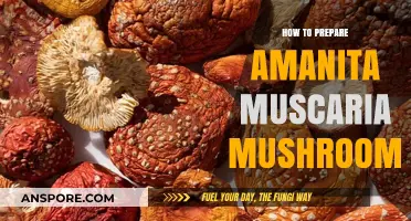 Preparing Amanita Muscaria: A Step-by-Step Guide to Safe Mushroom Processing