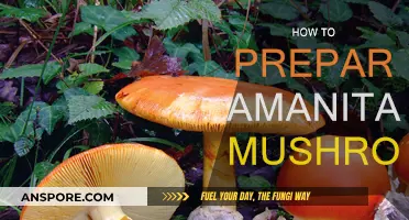 Amanita Mushrooms: Preparation Techniques for Culinary Exploration