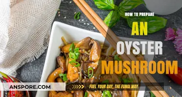 Mastering Oyster Mushroom Preparation: Simple Steps for Delicious Results