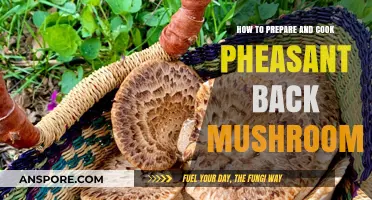 Mastering Pheasant Back Mushrooms: Preparation and Cooking Techniques