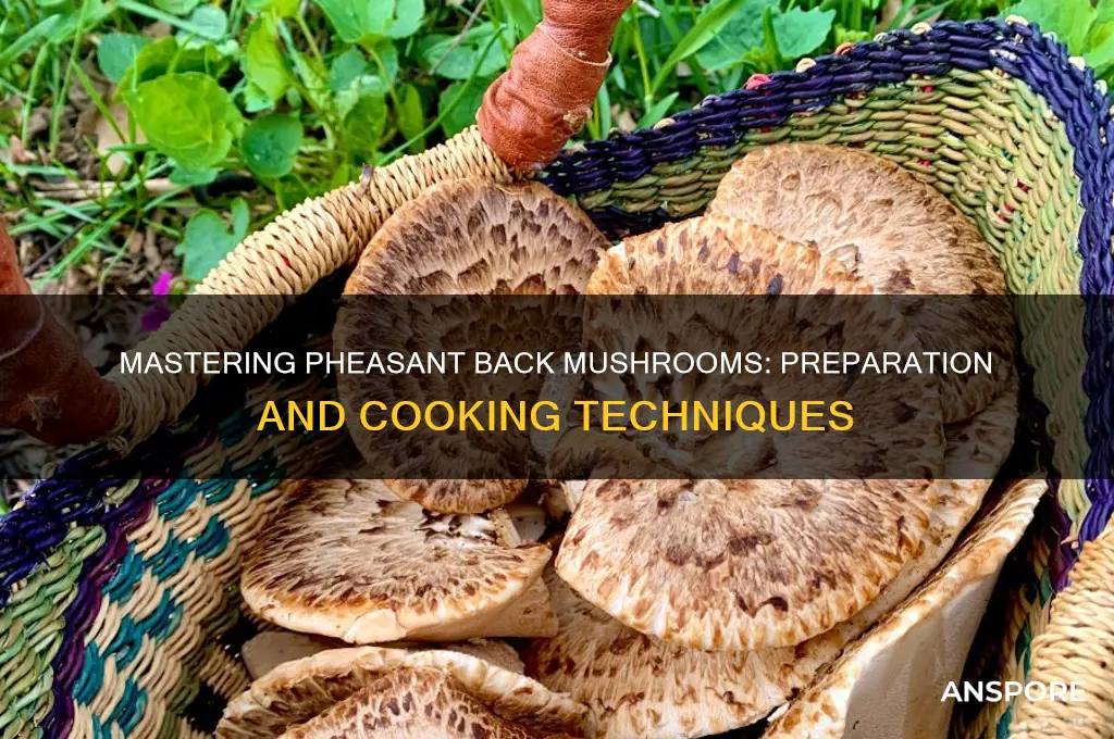 how to prepare and cook pheasant back mushrooms