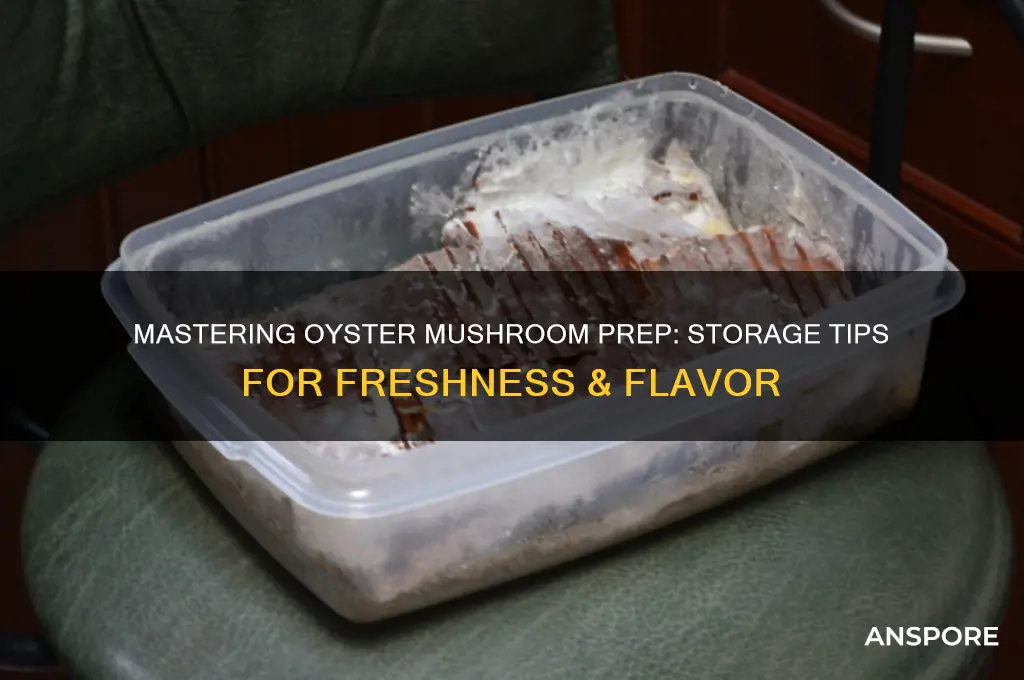 how to prepare and store oyster mushrooms