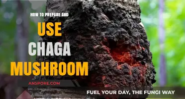 Unlocking Chaga's Power: Preparation and Usage Guide for Optimal Benefits