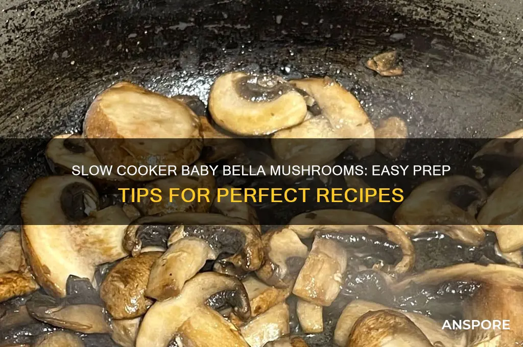 how to prepare baby bella mushrooms for slow cooker recipe