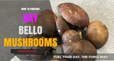 Mastering Bay Bello Mushrooms: Simple Steps for Perfect Preparation
