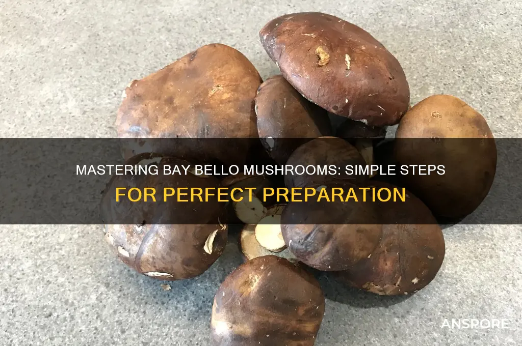 how to prepare bay bello mushrooms