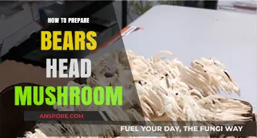 Mastering the Art of Preparing Bears Head Mushrooms: A Culinary Guide