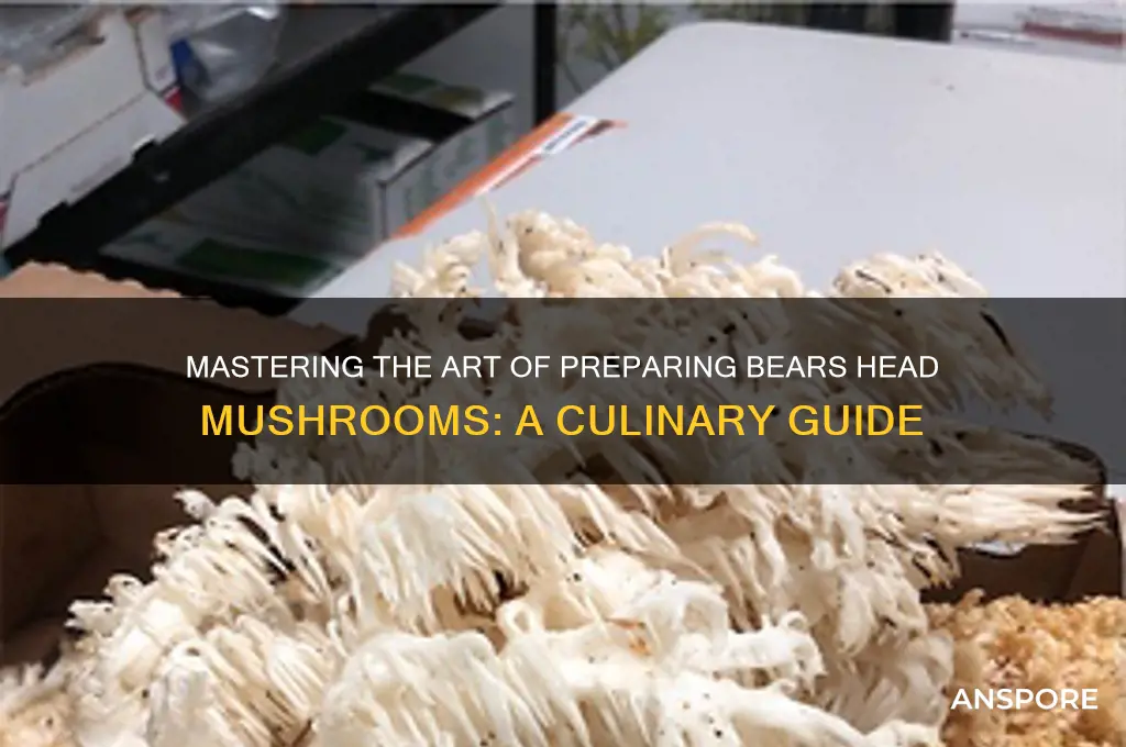 how to prepare bears head mushroom