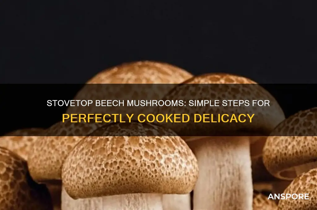 how to prepare beech mushrooms on a stove top