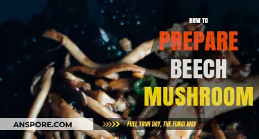 Preparing Beech Mushrooms: A Simple Guide