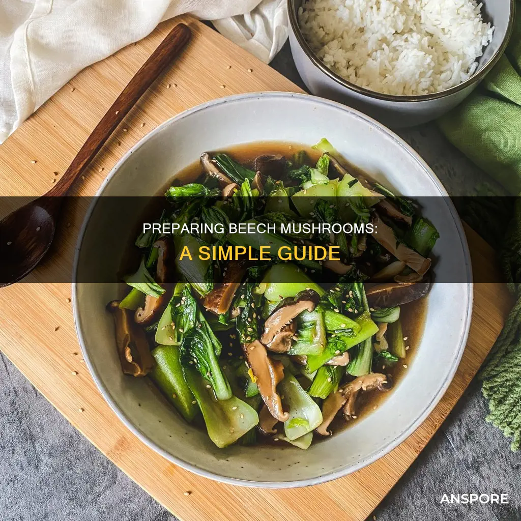 how to prepare beech mushrooms