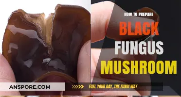 Mastering Black Fungus Mushroom Preparation: A Simple Step-by-Step Guide