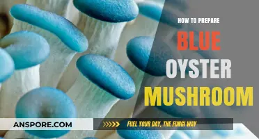 Mastering Blue Oyster Mushrooms: Simple Preparation Tips for Delicious Results