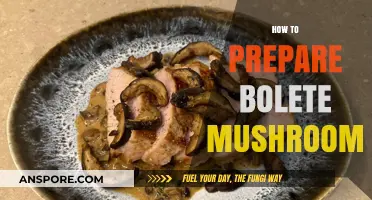 Preparing Bolete Mushrooms: A Simple Guide