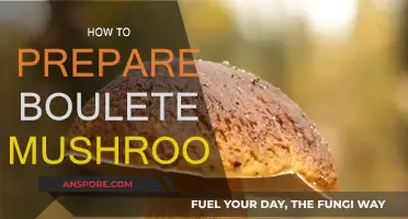 Preparing Boulete Mushrooms: A Simple Guide