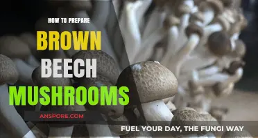 Mastering Brown Beech Mushrooms: Simple Steps for Perfect Preparation