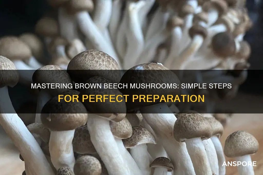 how to prepare brown beech mushrooms