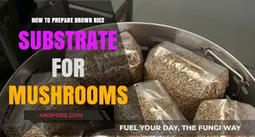 Mastering Brown Rice Substrate Preparation for Mushroom Cultivation