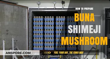 Mastering Buna Shimeji: Simple Steps to Prepare These Delicate Mushrooms
