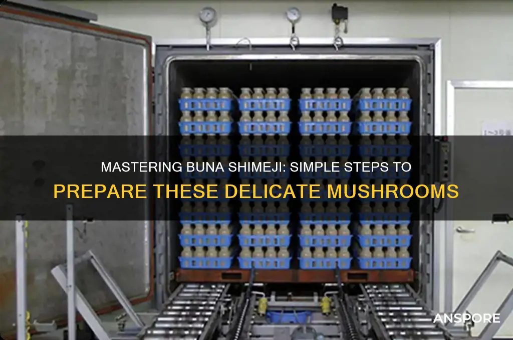 how to prepare buna shimeji mushrooms