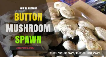 Mastering Mushroom Cultivation: A Step-by-Step Guide to Preparing Button Mushroom Spawn