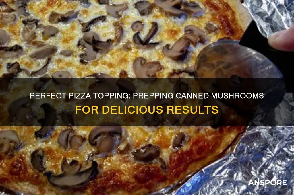 how to prepare canned mushrooms for pizza