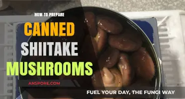 Mastering Canned Shiitake Mushrooms: Simple Preparation Tips for Delicious Results