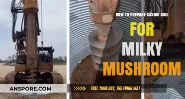 Mastering Milky Mushroom Cultivation: Preparing the Perfect Casing Soil