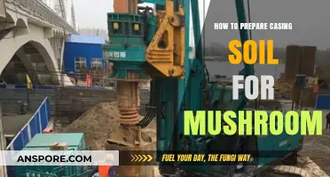Mastering Mushroom Cultivation: Preparing the Perfect Casing Soil Layer