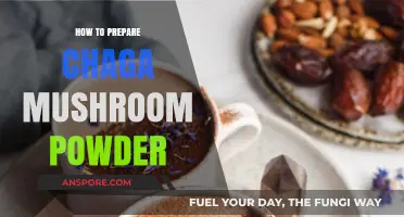 Mastering Chaga Mushroom Powder: Simple Preparation Tips for Optimal Benefits