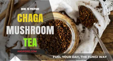 Brewing Chaga Mushroom Tea: Simple Steps for a Healthy, Earthy Beverage