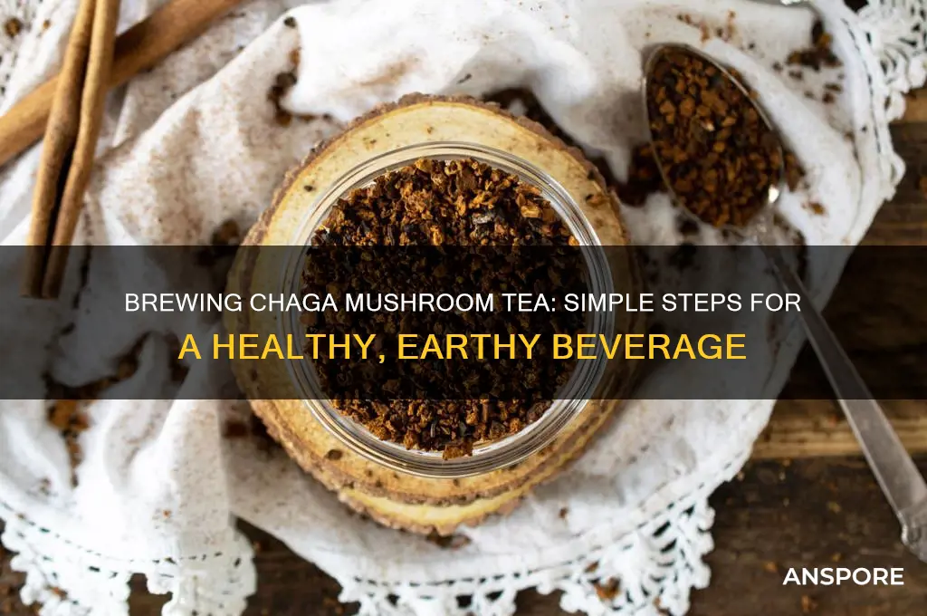 how to prepare chaga mushroom tea