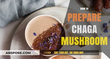 Brewing Chaga Mushrooms: A Step-by-Step Guide