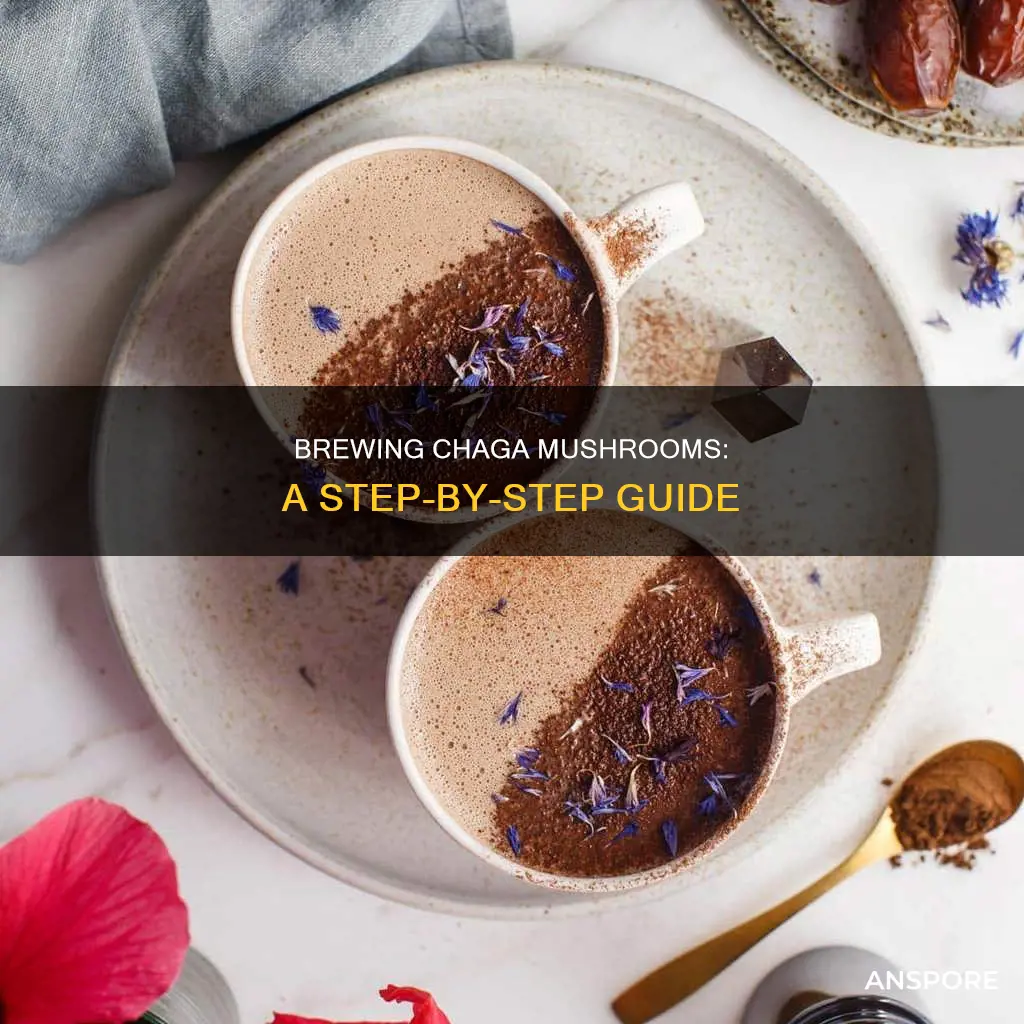 how to prepare chaga mushroom