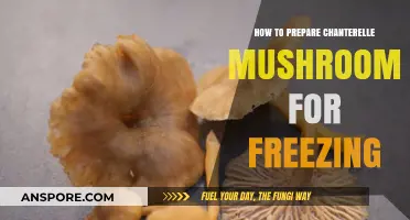 Preserve Chanterelle Mushrooms: A Simple Guide to Freezing Freshly Picked Delights
