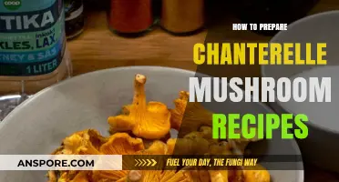 Mastering Chanterelle Mushrooms: Delicious Recipes and Preparation Tips